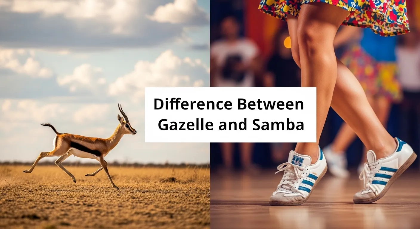 Difference between gazelle and samba